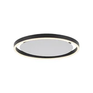 Lampy sufitowe - Paul Neuhaus Lampa sufitowa ciemnoszara 40 cm z 3-stopniową regulacją ściemniania LED - Zlatan - miniaturka - grafika 1