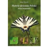 Albumy inne - Motyle dzienne Polski - miniaturka - grafika 1