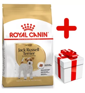 Royal Canin Jack Russell Adult 7,5kg - Sucha karma dla psów - miniaturka - grafika 1