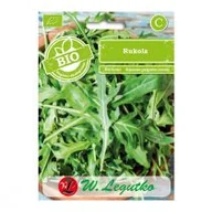 Nasiona i cebule - Legutko Rukola nasiona BIO - miniaturka - grafika 1