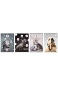 Zeszyt A5/60K kratka The sweet pets (5szt) - Zeszyty szkolne - miniaturka - grafika 1
