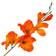 Sztuczne kwiaty - [w0591] Mieczyk satynowy gałązka 54cm ciemnopomarańczowy - miniaturka - grafika 1