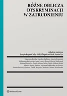 E-booki - prawo - Różne oblicza dyskryminacji w zatrudnieniu - miniaturka - grafika 1