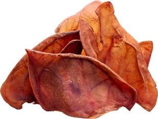 Gryzak dla psów Ucho wieprzowe ok.210g wędzone - Schronisko Bukowina - Pasztet i przetwory mięsne - miniaturka - grafika 1