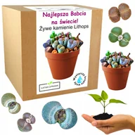 Nasiona i cebule - Zestaw do Uprawy Żywe Kamienie prezent dzień babci - miniaturka - grafika 1