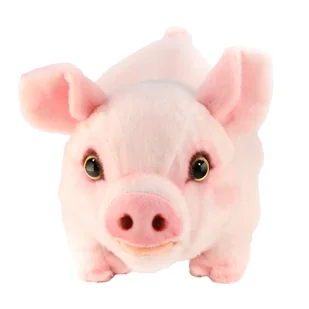 Chinchilla, Naturalistyczna świnka 40 cm - Maskotki i pluszaki - miniaturka - grafika 1