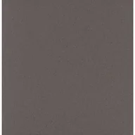 Płytki klinkierowe - Gres techniczny Salti Grey 30X30 Ceramika Paradyż - miniaturka - grafika 1