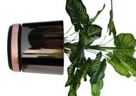 Donice - 14 cm Doniczka DUO dwukolorowa CZARNA z podstawką ŁOSOSIOWA * nowoczesna * styl industrialny loft retro glamour * efekt lustra black * wysoki lustrz.. - miniaturka - grafika 1