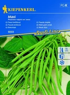 Nasiona i cebule - Fasola Zwykła Maxi – Kiepenkerl - miniaturka - grafika 1