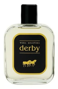 Derby Derby Woda kolońska 100ml - Wody i perfumy męskie - miniaturka - grafika 1