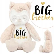 Maskotki i pluszaki - Maskotka Miś Przytulanka Sówka BIG BROTHER Wzory - miniaturka - grafika 1