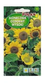 Nasiona i cebule - Słonecznik ozdobny wysoki mieszany 5 g POLAN - miniaturka - grafika 1