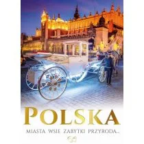 Polska miasta, wsie, zabytki, geografia - Albumy krajoznawcze - miniaturka - grafika 1