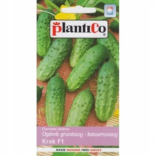 Plantico Ogórek gruntowy KrakF1 - Nasiona i cebule - miniaturka - grafika 1