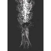 Pedagogika i dydaktyka - Mroczne sekrety Olimpu Nowa - miniaturka - grafika 1