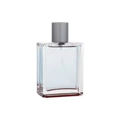 Wody i perfumy męskie - Victorinox Steel woda toaletowa 100 ml dla mężczyzn - miniaturka - grafika 1