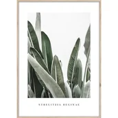 Plakaty - Plakat w ramie 50x70 cm Strelitzia – Styler - miniaturka - grafika 1