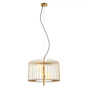 Italux Lampa zwis Daren MDM-3937/3 GD MDM-3937/3 GD - Lampy sufitowe - miniaturka - grafika 1