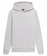 Bluzy męskie - 4F BLUZA MĘSKA DRESOWA SPORTOWA Z KAPTUREM - miniaturka - grafika 1