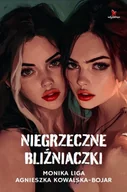 Literatura obyczajowa - Niegrzeczne bliźniaczki - miniaturka - grafika 1