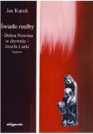 Książki o kulturze i sztuce - Światło rzeźby - miniaturka - grafika 1