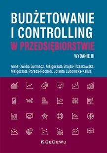 Budżetowanie i controlling w przedsiębiorstwie - Ekonomia - miniaturka - grafika 1