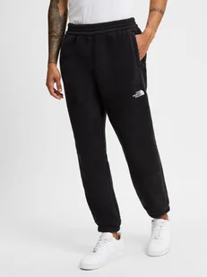 The North Face Męskie spodnie dresowe Mężczyźni Sztuczne włókno czarny jednolity, S - Spodnie męskie - miniaturka - grafika 1
