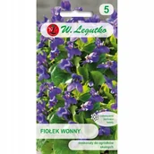 Nasiona i cebule - FIOŁEK WONNY pachnący wieloletni FIOLETOWY nasiona p. PL230/12/210/2226A, PL330/12/210/4A - miniaturka - grafika 1