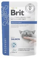 Mokra karma dla kotów - BRIT Veterinary Diets Cat Pouches Fillets in Gravy Recovery 85g - miniaturka - grafika 1