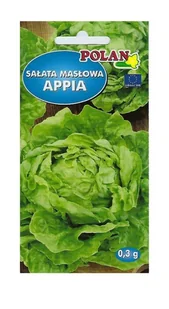 Sałata głowiasta masłowa Appia 0,3 g POLAN - Nasiona i cebule - miniaturka - grafika 1