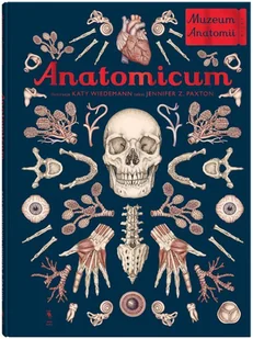 Anatomicum. Muzeum Anatamii - Książki edukacyjne Anatomicum. Muzeum Anatamii - Książki edukacyjne - miniaturka - grafika 2