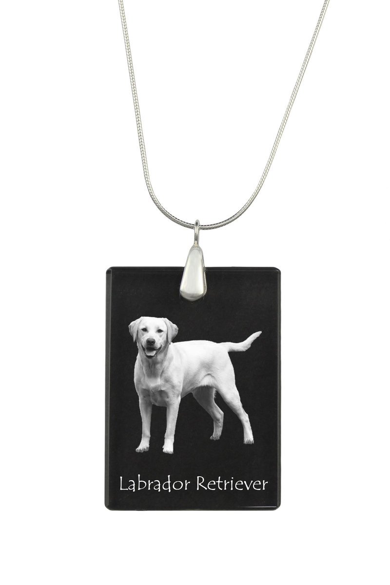 Labrador Retriever I - kryształowa zawieszka z psem, srebrny naszyjnik ze zdjęciem, personalizowany wisiorek marki Art-Dog