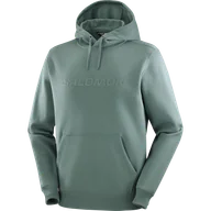 Bluzy sportowe męskie - BLUZA MĘSK SALOMON BIG LOGO M C25253 - miniaturka - grafika 1