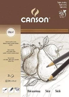 Canson BLOK RYSUNKOWY A3 25A GRUSZKA - Podobrazia, bloki, papiery - miniaturka - grafika 1