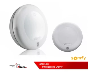 Czujnik Solarny Somfy 1818285 - Akcesoria do monitoringu - miniaturka - grafika 1