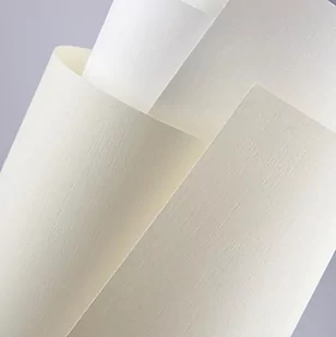 Argo Papier ozdobny 120g. - płótno kremowe - Papier do drukarek - miniaturka - grafika 2
