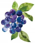 Podkładki pod mysz - PODKŁADKA POD MYSZ Z Nadrukiem 22x18 cm Owoce Warzywa Vintage Tekst Prezent - miniaturka - grafika 1