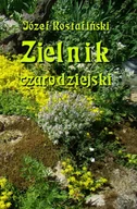 E-booki - poradniki - Zielnik czarodziejski - miniaturka - grafika 1
