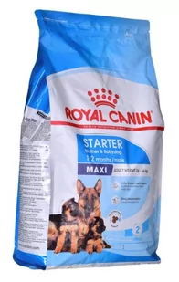 Royal Canin Maxi Starter Mother&Babydog 4 kg - Sucha karma dla psów - miniaturka - grafika 2