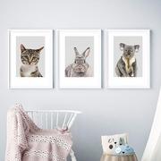 Plakaty - Zestaw 3 plakatów do pokoju dziecka - kotek, koala, królik - miniaturka - grafika 1