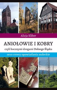 Aniołowie i kobry Nowa - Atlasy i mapy - miniaturka - grafika 1