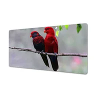 Podkładki na biurko - Mata ochronna na blat wzory nadruk Radosne papugi, ArtprintCave - miniaturka - grafika 1