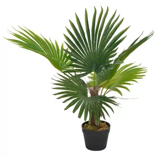 vidaXL Sztuczna palma z doniczką, zielony, 70 cm - Sztuczne drzewka - miniaturka - grafika 1