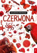 Książki edukacyjne - Kolorowa przyroda. Czerwona - miniaturka - grafika 1