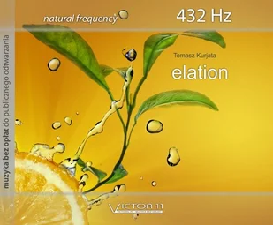 Elation, Natural Frequency 432 Hz - Tomasz Kurjata - płyta - Muzyka relaksacyjna - miniaturka - grafika 1
