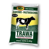 Trawy i trawniki - Trawa łąkowo-pastwiskowa 2,5 kg worek foliowy - miniaturka - grafika 1