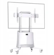 Uchwyty do telewizora - North Bayou Stojak podłogowy G100W 60'' - 120'' - miniaturka - grafika 1