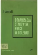 Książki o kulturze i sztuce - Organizacja stanowisk pracy w odlewni - miniaturka - grafika 1