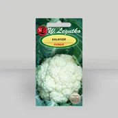 Nasiona i cebule - Kalafior Pionier Biały 1g - Nasiona - W. Legutko - miniaturka - grafika 1