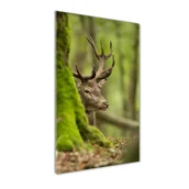 Foto gadżety - Fotoobraz szklany na ścianę do salonu pionowy Jeleń - miniaturka - grafika 1